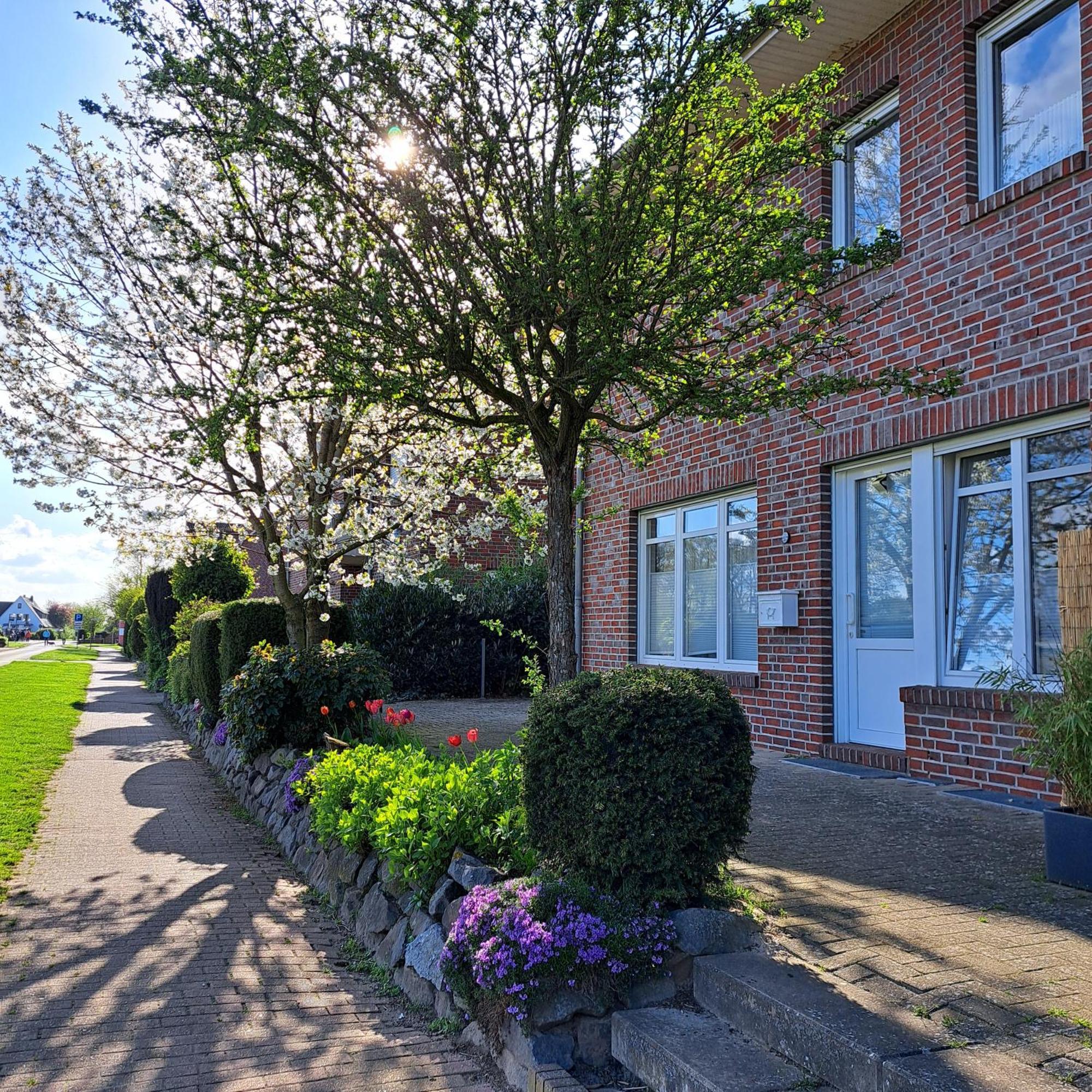 Seeliebe, 300 Meter Zum Wasser, Mit Terrasse Und Garten Lembruch Esterno foto