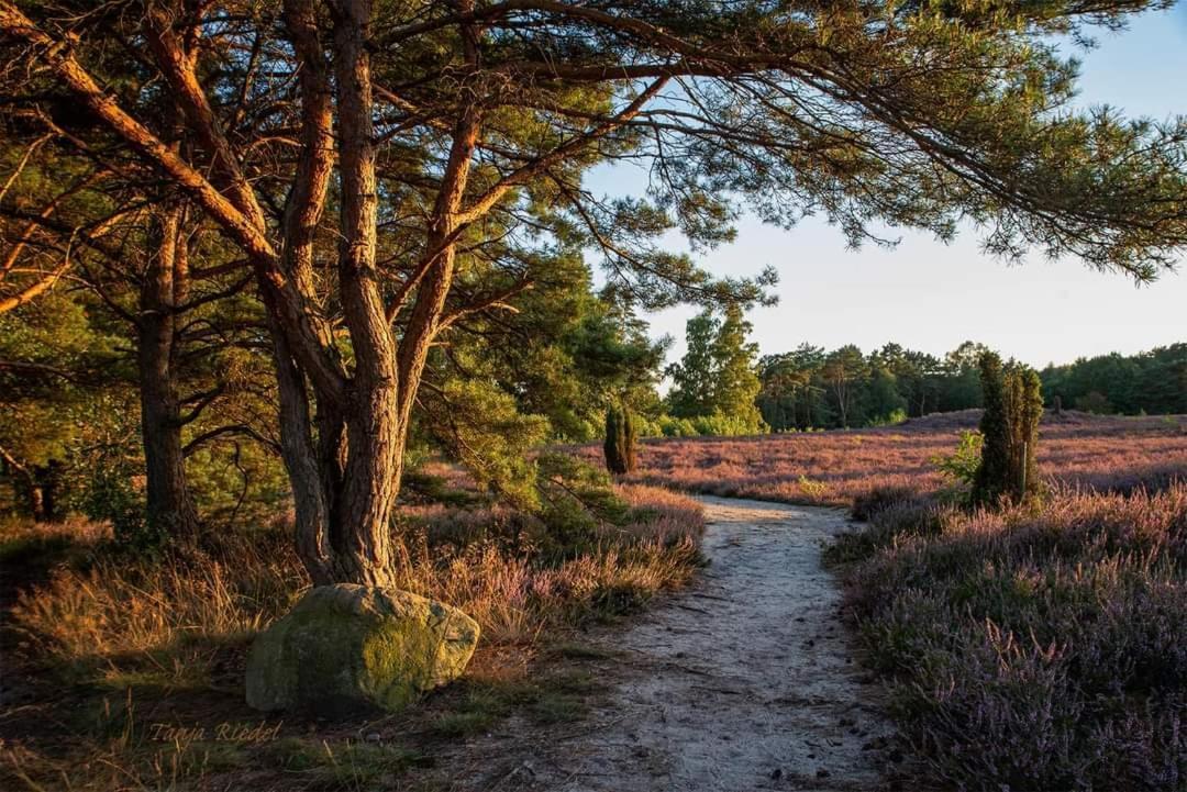 Seeliebe, 300 Meter Zum Wasser, Mit Terrasse Und Garten Lembruch Esterno foto
